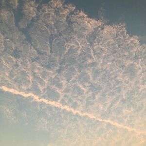 Meet your Posher, Zaria